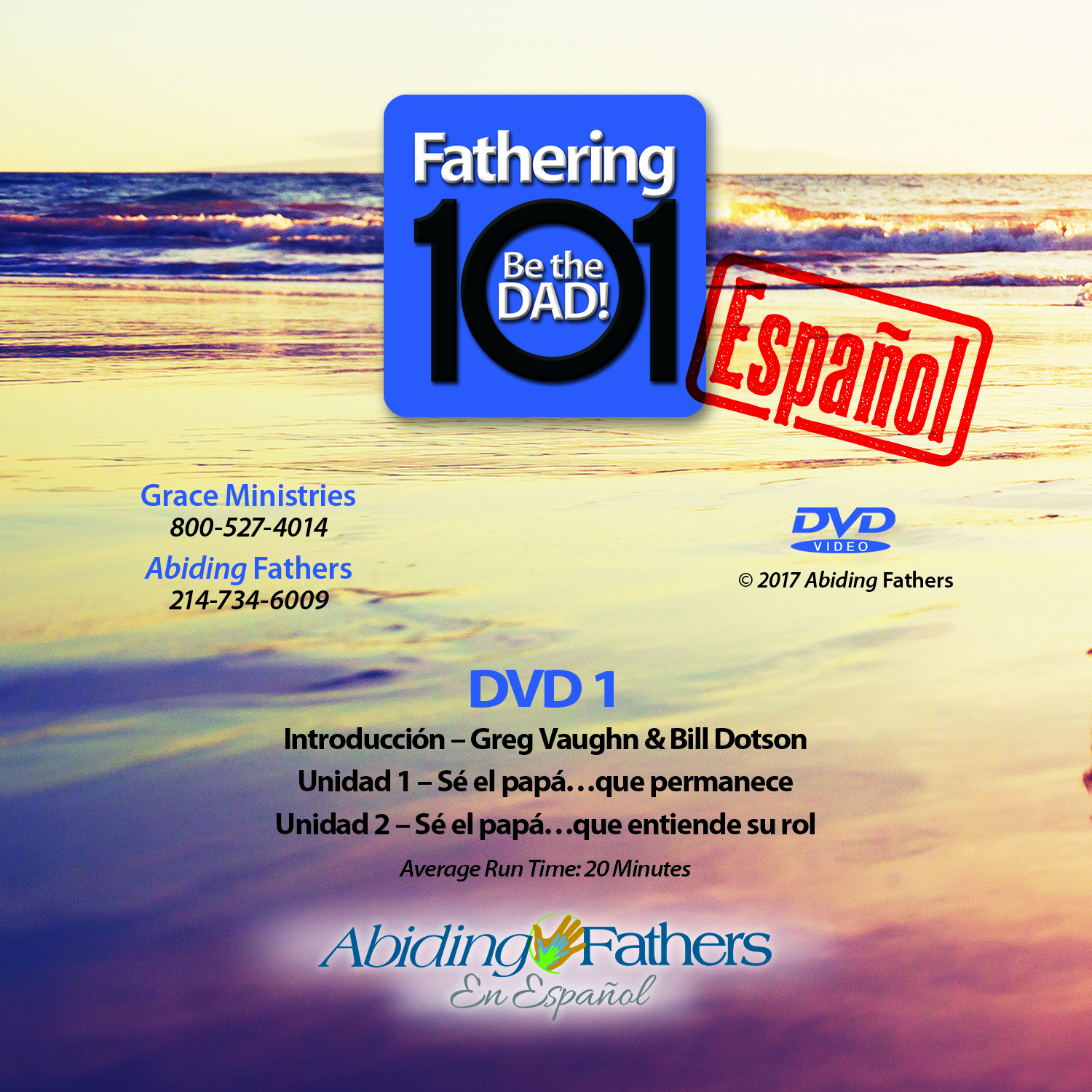 Be the Dad Spanish DVD Set